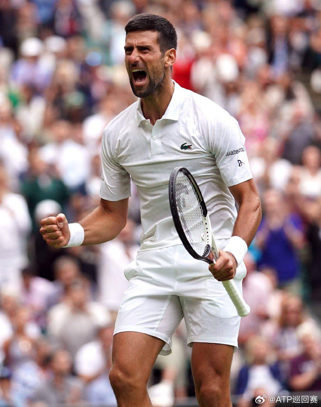 是一种由肾 是一种由肾